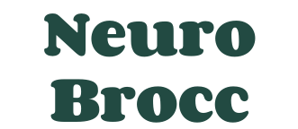 NeuroBrocc
